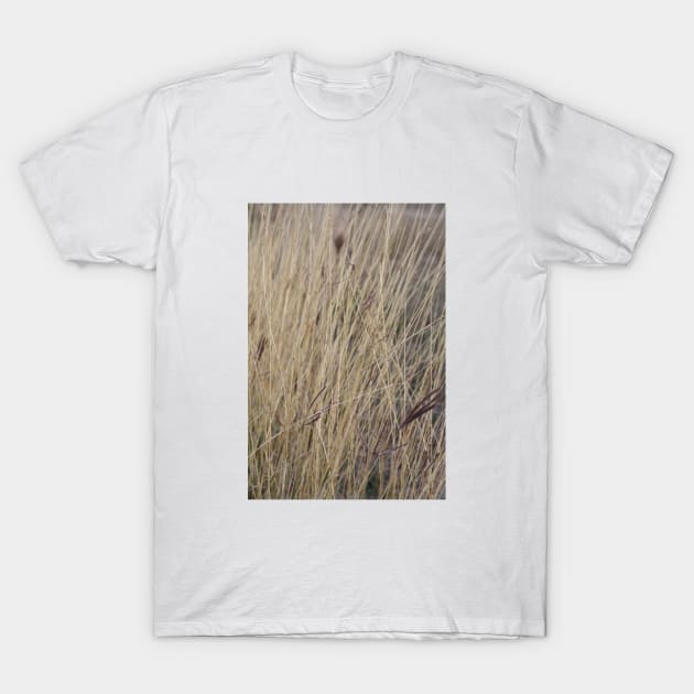 prairie photo T-Shirt by ScrambledPsychology